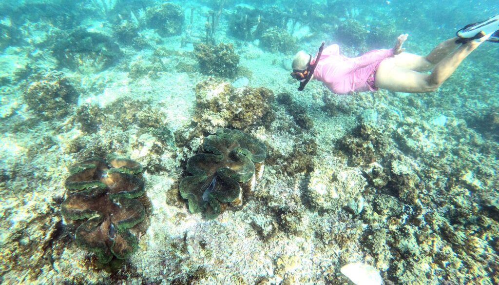 a women swimming with the giantclams